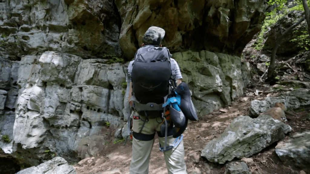 Picture Editing Project — Avid Media&nbsp;Composer